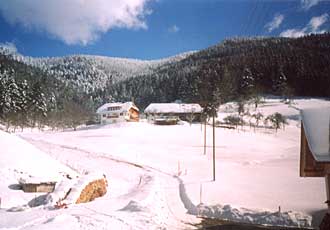 Blick im&nbsp;Winter